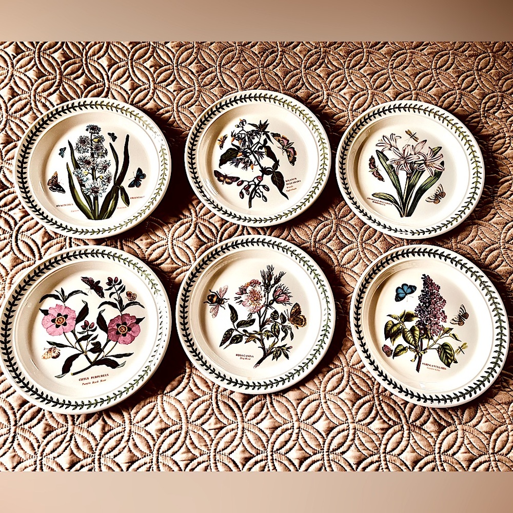 Portmeirion Botanic Garden set/6  8 1/2” salad plates.❣️